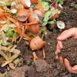 Image for Tips for Reducing Food Waste at Home
