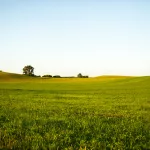 Image for Field of Dreams: If You Build [Biodiversity], They Will Come