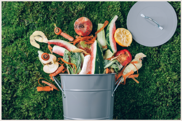 Image for Managing Food Waste at Home and on the Farm