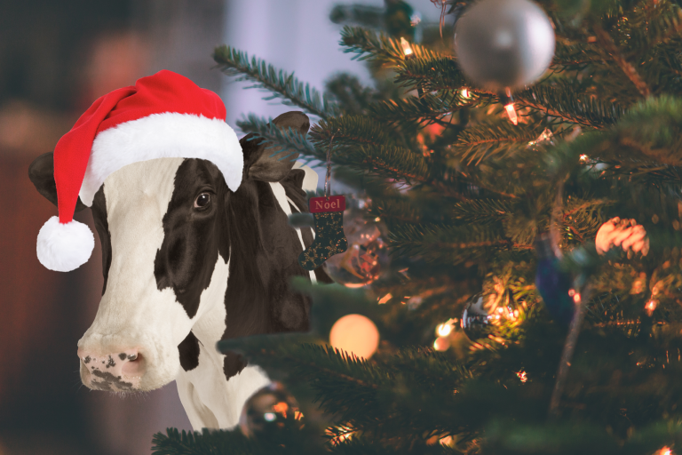 Image for The 12 Days of Wisconsin Agriculture Christmas