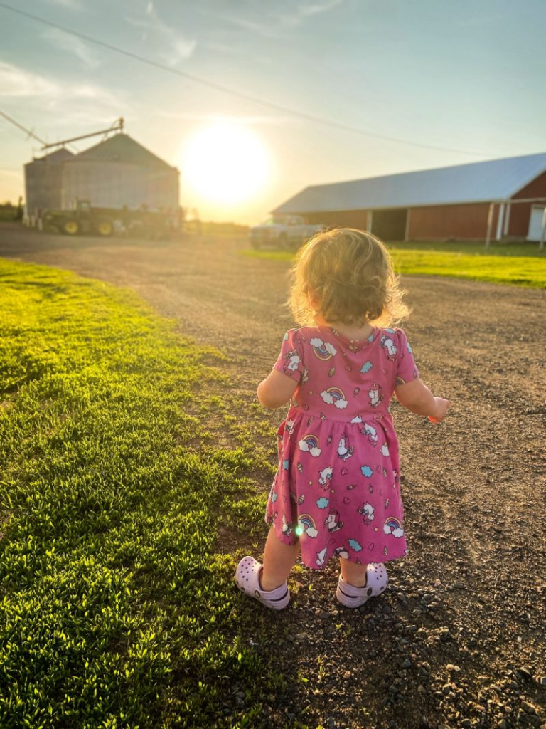 A toddler girl looks at a sunset on her family's farm.