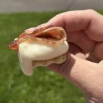 Image for Savory S’mores
