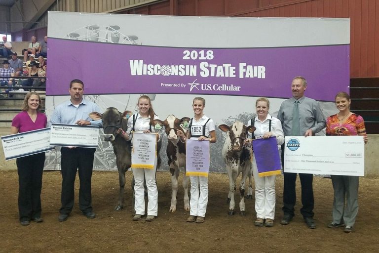 Image for My State Fair Traditions and Memories