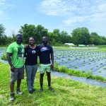 Image for Farmers and Food Banks: A partnership with a purpose